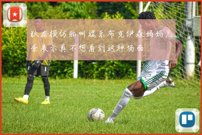狄龙模仿狗叫逗乐布克伊森妈妈无奈表示真不想看到这种场面