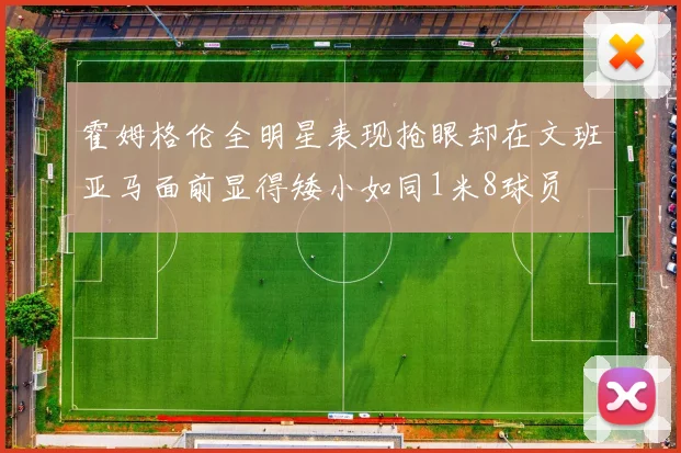 霍姆格伦全明星表现抢眼却在文班亚马面前显得矮小如同1米8球员