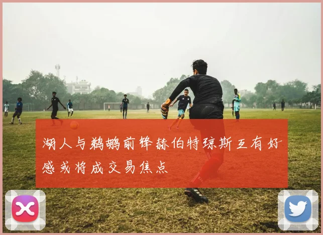 湖人与鹈鹕前锋赫伯特琼斯互有好感或将成交易焦点